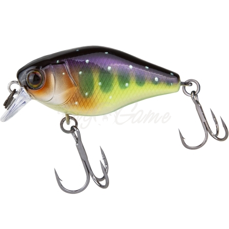 Воблер JACKALL Chubby 41 SR Silent цв. iwana фото 1