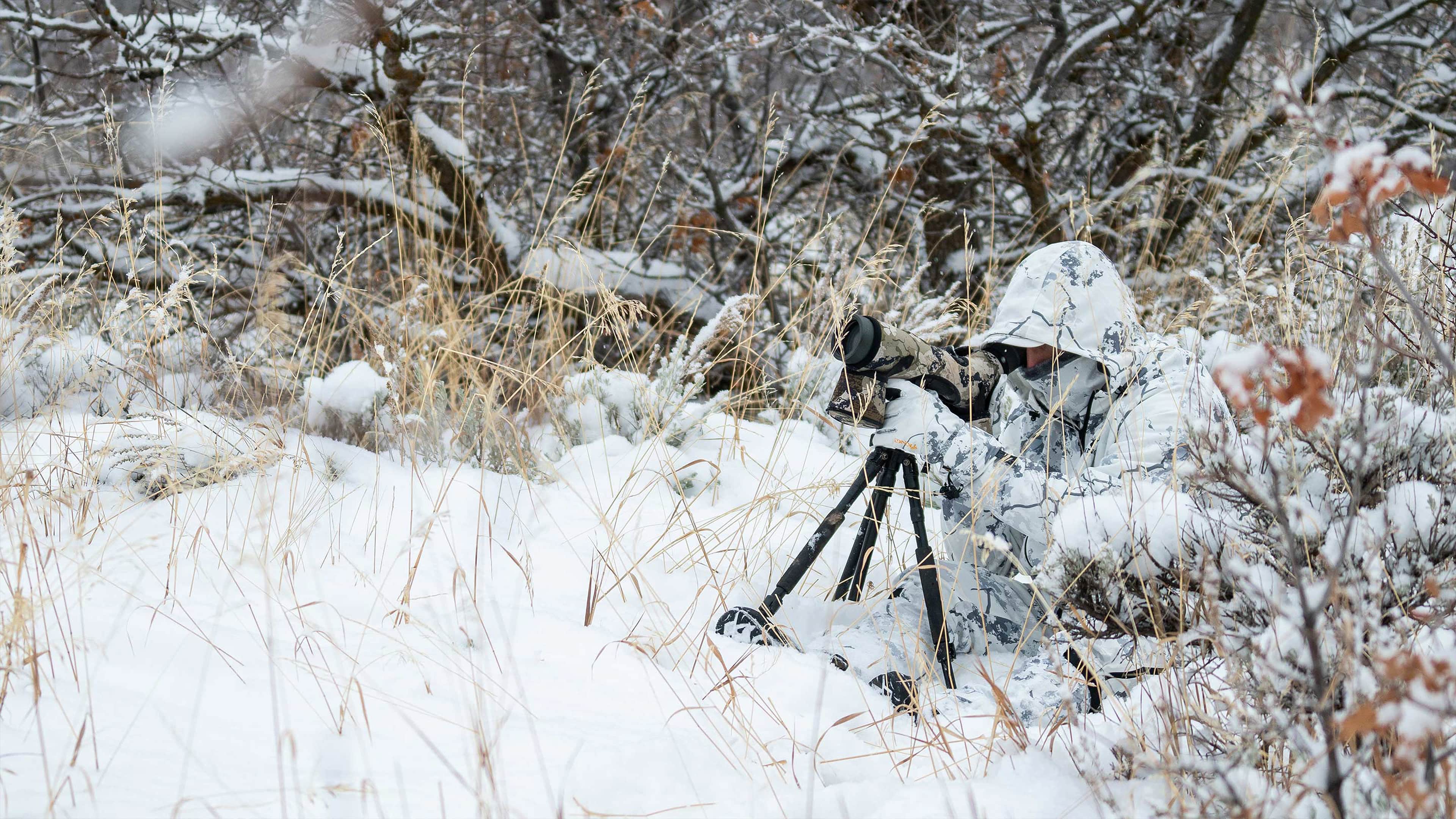 Kings - Новое поступление