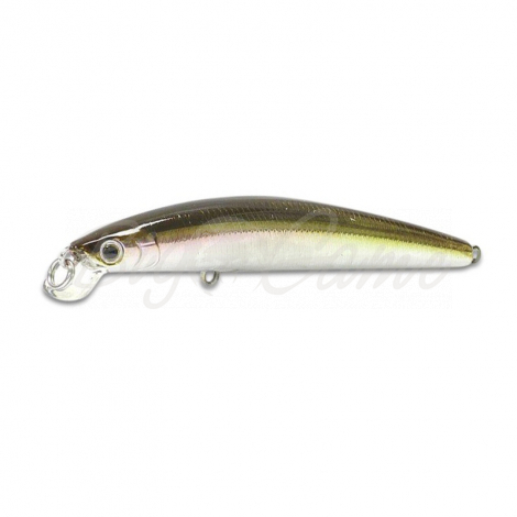 Воблер DAIWA TD Minnow 120SP цв. Wakasagi фото 1