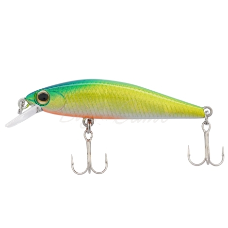 Воблер DAIWA Dr. Minnow 2 50F цв. Lime Green фото 2