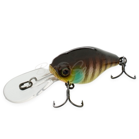 Воблер JACKALL D Chubby 38 Silent цв. noike gill фото 2