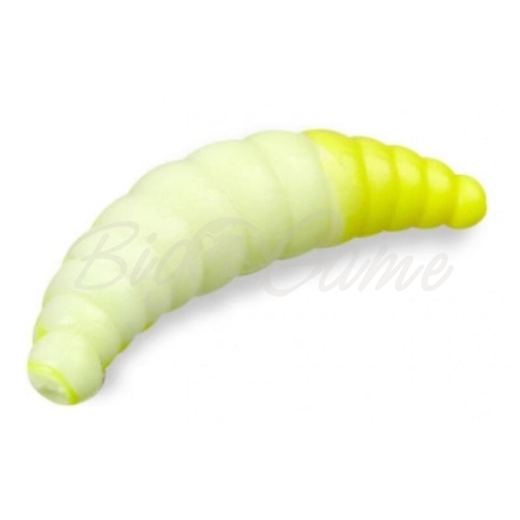 Личинка COOL PLACE Maggot 4 см (10 шт.) зап. сыр цв. 08 белый / желтый фото 1