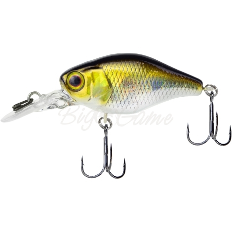 Воблер JACKALL Chubby 38 MR цв. hl shad фото 1