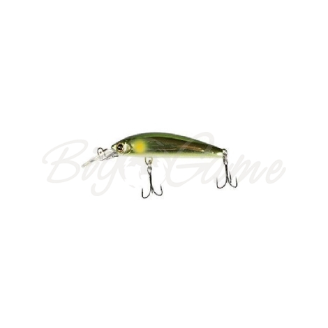 Воблер JACKALL TIMON Midia 53F цв. gold ayu фото 2