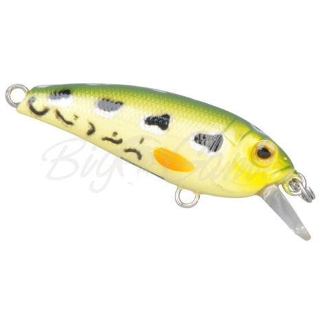 Воблер SPRO Chibi Shad 40SS цв. Sl Leopard Frog фото 1