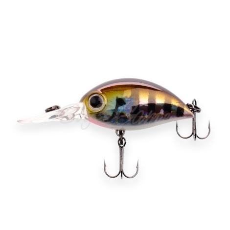 Воблер ZIP BAITS Hickory MDR 34F код цв. 509 фото 2
