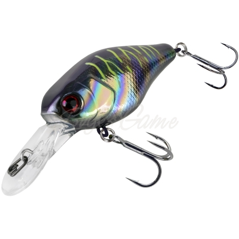 Воблер JACKALL Chubby 41 MR цв. uv ul tamamushi tiger фото 2