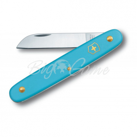 Нож VICTORINOX EcoLine Floral 95мм цв. Голубой (в блистере) фото 1