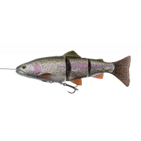 MS 01-Rainbow Trout