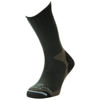 Носки LORPEN CWSS Cold Weather Sock System цвет Хвойный