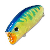 Blue Tiger