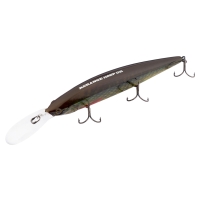 rt lively pike