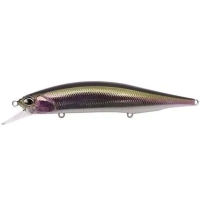 #CRA4036 -Rainbow Trout HM
