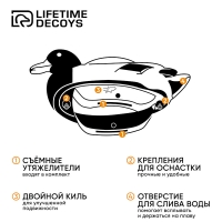 Комплект LIFETIME DECOYS New Flex Float Mallards 2 селезня (кормящийся и отдыхающий) 1 утка превью 3