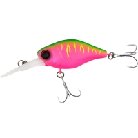 dragon fruit mat tiger