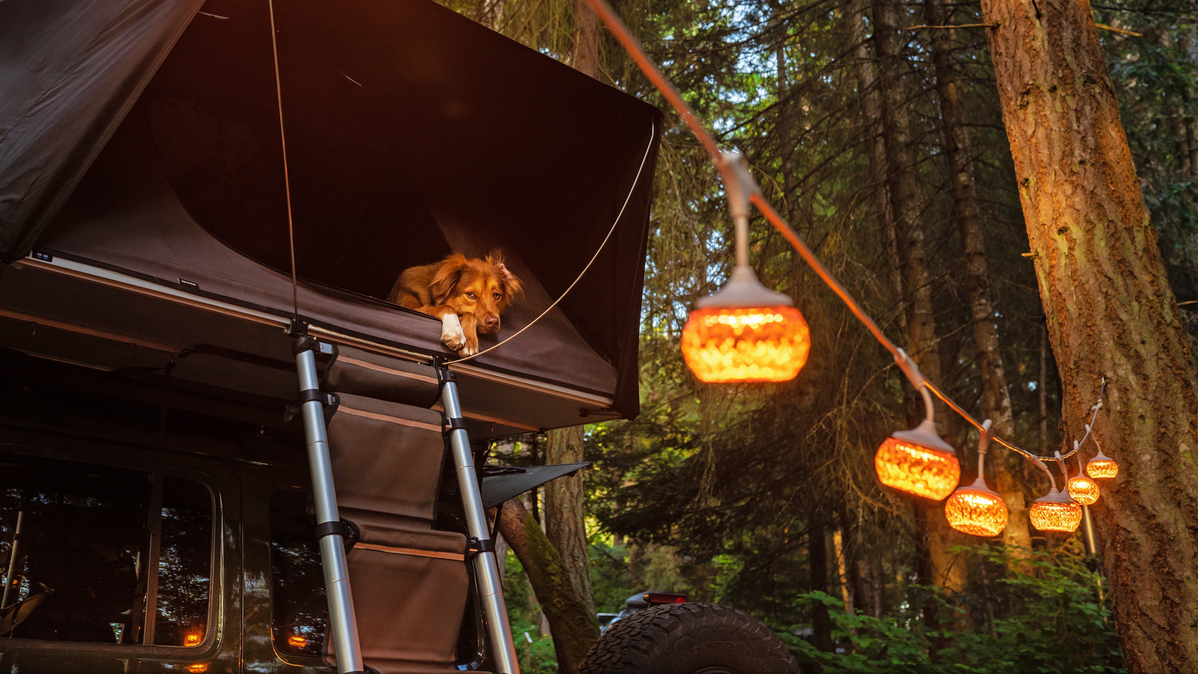 Claymore - передовое освещение из Кореи