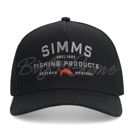 Кепка SIMMS Double Haul Trucker цвет Black фото 1