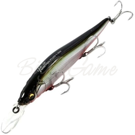Воблер MEGABASS Oneten +1 SW 110SP цв. M Katakuchi Rb фото 1