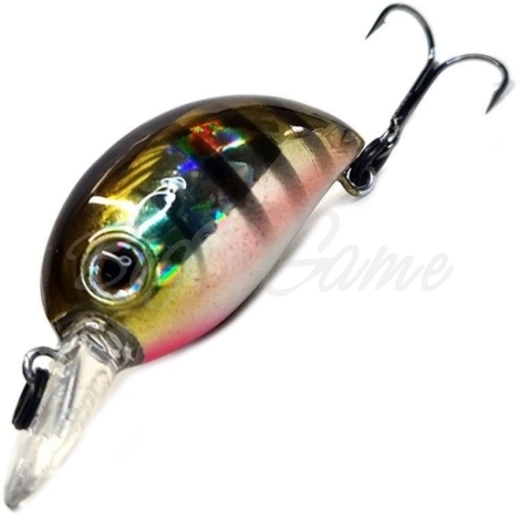 Воблер ZIP BAITS Baby Hickory 25SR код цв. 509 фото 1