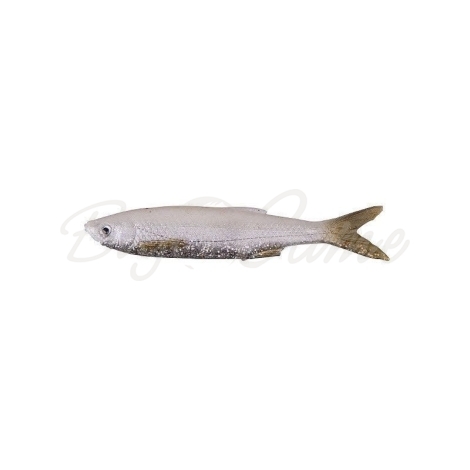 Приманка SAVAGE GEAR LB 3D Bleak Real Tail 13,5 см 14 г (4 шт.) цв. 05-White Silver фото 1