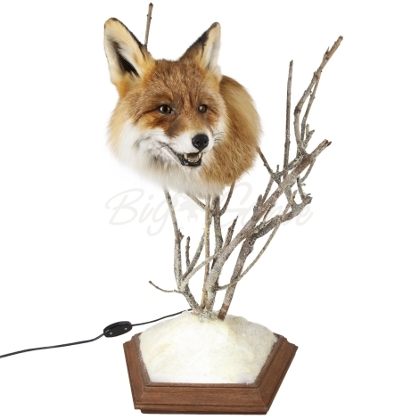 Чучело головы лисы в виде лампы на подставке фото 1