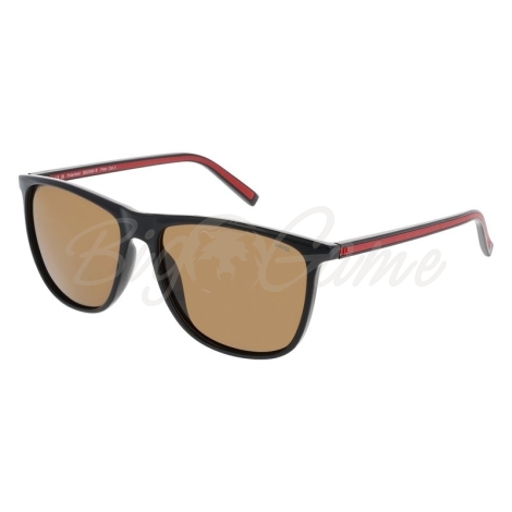 Очки солнцезащитные INVU Мужские IB22566B с чехлом 20201 цв. черный с красным цв. ст. светло-коричневый фото 1