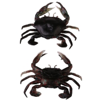 Black Crab