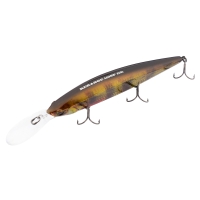 rt lively perch
