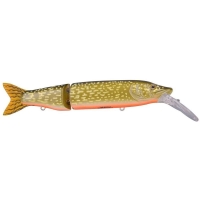 Orange Belly Pike