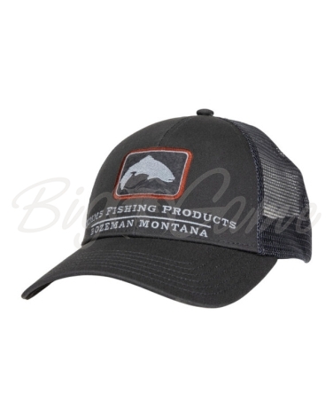 Кепка SIMMS Trout Icon Trucker цвет Carbon фото 1
