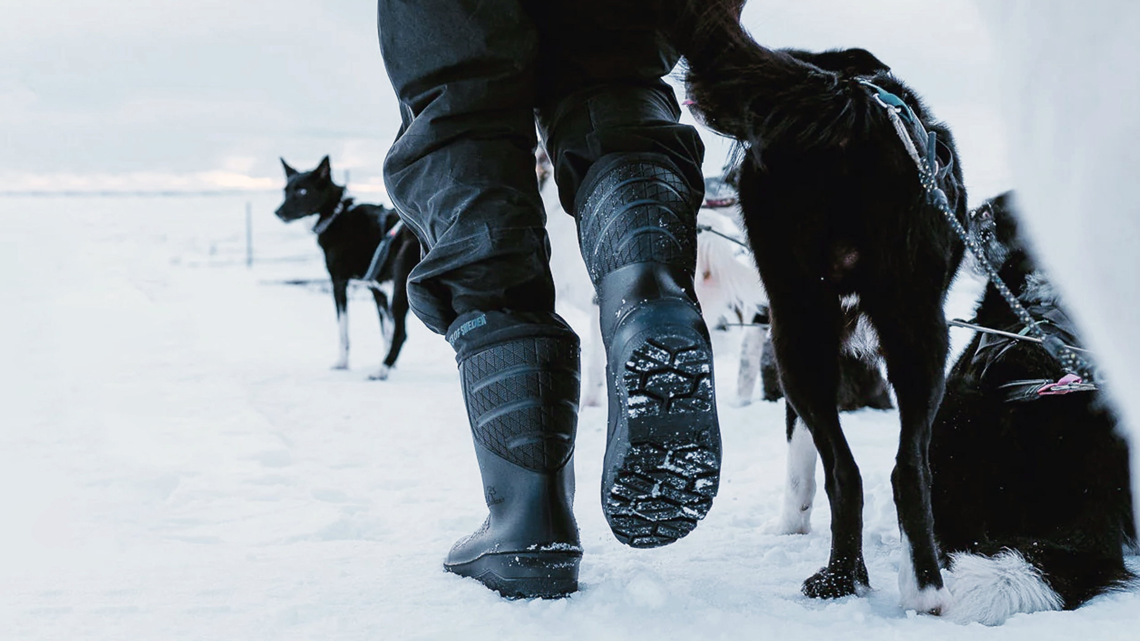 Polyver - ваши идеальные зимние сапоги из Швеции