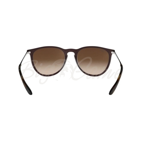 Очки солнцезащитные RAY-BAN RB4171 цв. Синий цв. ст. Коричневый фото 2