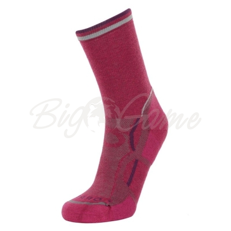 Носки LORPEN T2LWE T2 Women Light Hiker Eco цвет Charcoal / Blue фото 1