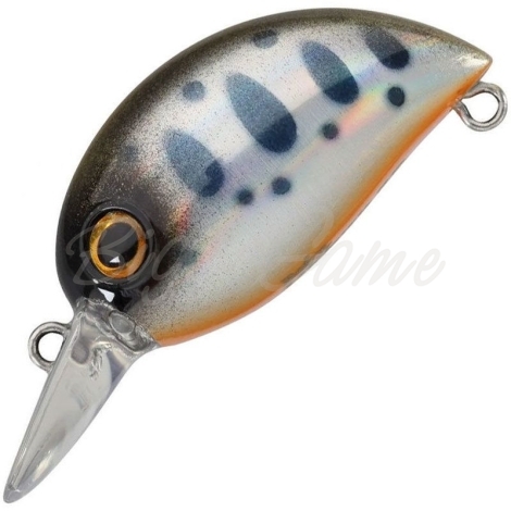 Воблер ZIP BAITS Baby Hickory 25SR код цв. 316 фото 1