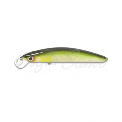 Воблер DAIWA TD Minnow 95SP цв. Ghost Ayu фото 1