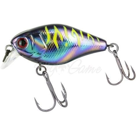 Воблер JACKALL Chubby 41 SR Silent цв. uv ul tamamushi tiger фото 2