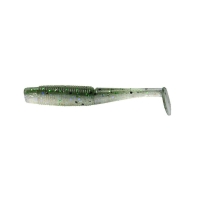 baby bass