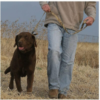 Поводок AVERY Standard Leash цв. Camo превью 4