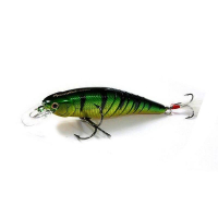 Aurora Green Perch