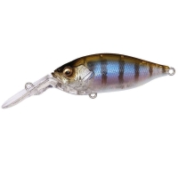 Gillkko
