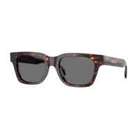 Очки солнцезащитные VERSACE VE4486 цв. Черепаховый цв. ст. Серый