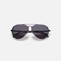 Очки солнцезащитные WHITELAB WLTI Ti цв. Black цв. ст. Dark grey