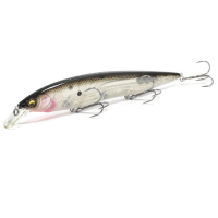 gp ozark shad