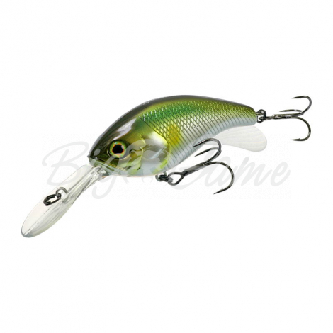 Воблер JACKALL Super Chidler ayu фото 2 Воблер JACKALL Super Chidler ayu фото 2