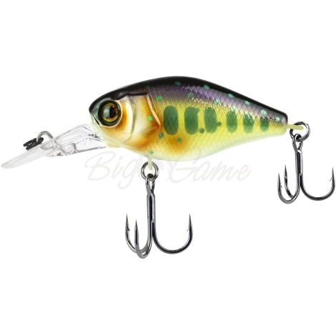 Воблер JACKALL Chubby 41 MR цв. iwana фото 1