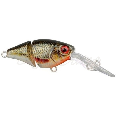 Воблер SPRO Ikiru Joint-Crank 35F цв. Roach фото 1