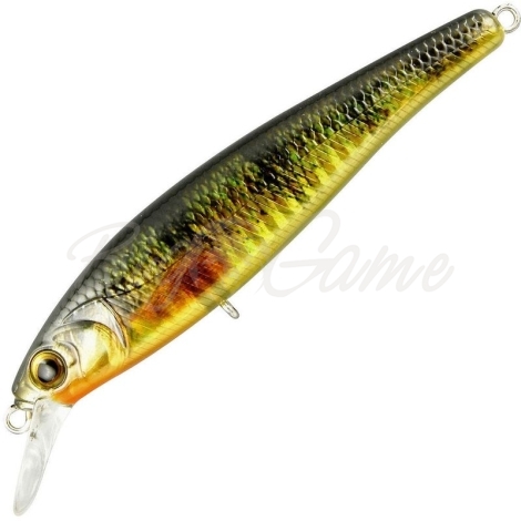 Воблер SPRO Ikiru Jerk 95 SP цв. Yellow Perch фото 1