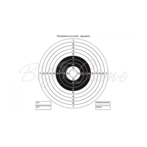 Мишень бумажная QUARTA чёрно-белая140х140 мм (50 шт.) фото 1