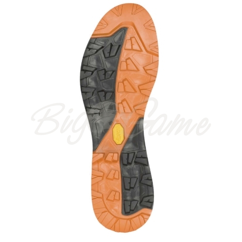 Ботинки горные AKU Rock DFS цвет Black / Orange фото 2