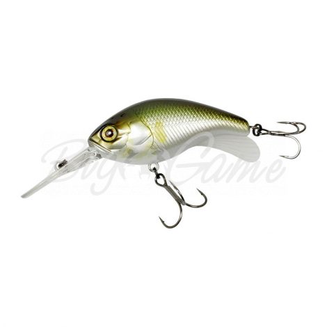 Воблер JACKALL Super Chidler ayu фото 1 Воблер JACKALL Super Chidler ayu фото 1